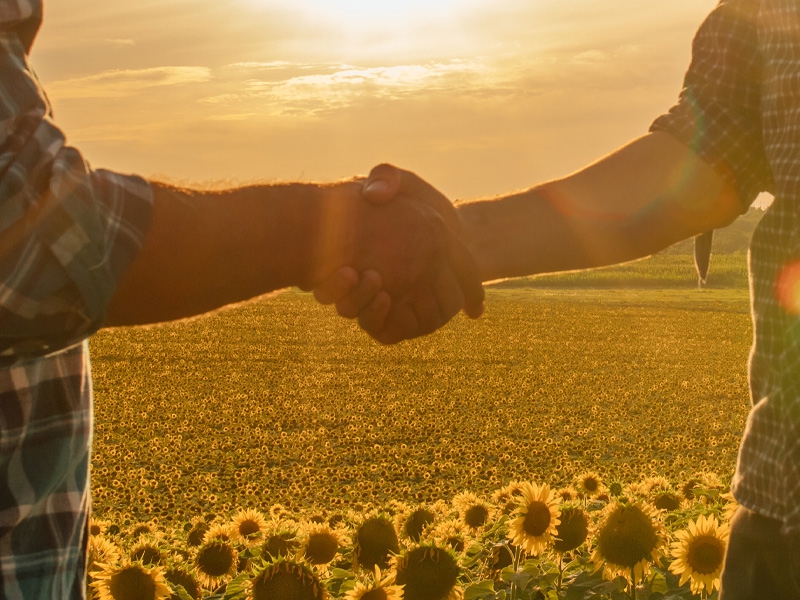 Há empregos sobrando no agronegócio; veja algumas profissões em destaque