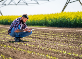 Agronegócio responde por 27% da população ocupada no país
