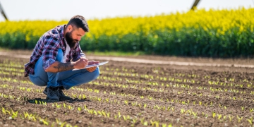 Agronegócio responde por 27% da população ocupada no país