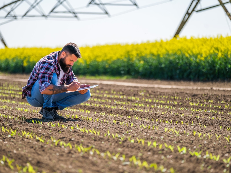 Agronegócio responde por 27% da população ocupada no país
