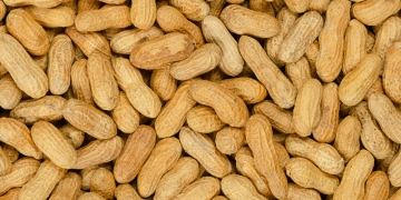 Produção de amendoim deve crescer 8,9% em São Paulo