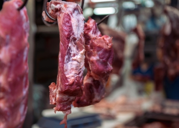 Exportações do agronegócio são recorde com US$ 14,4 bilhões em julho