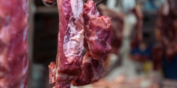 Exportações do agronegócio são recorde com US$ 14,4 bilhões em julho