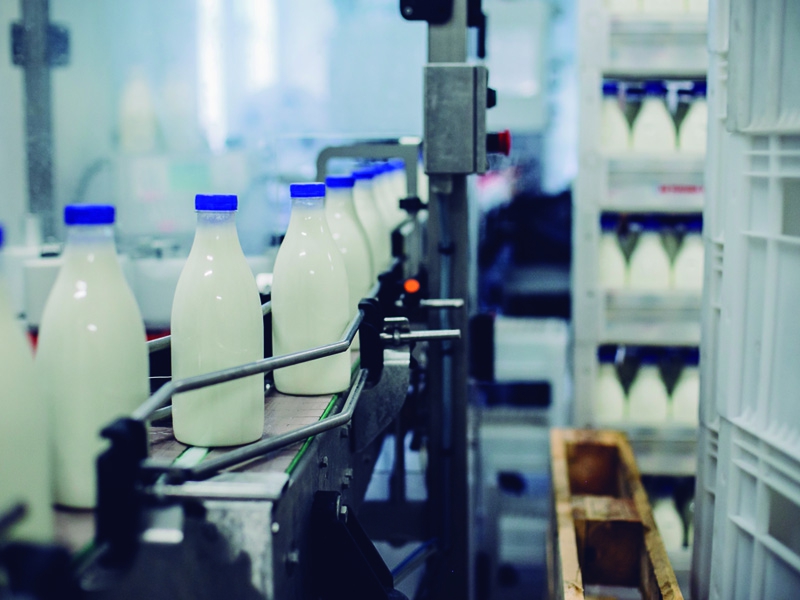 Medidas do Ministério da Agricultura e Pecuária favorecem produtores nacionais de leite