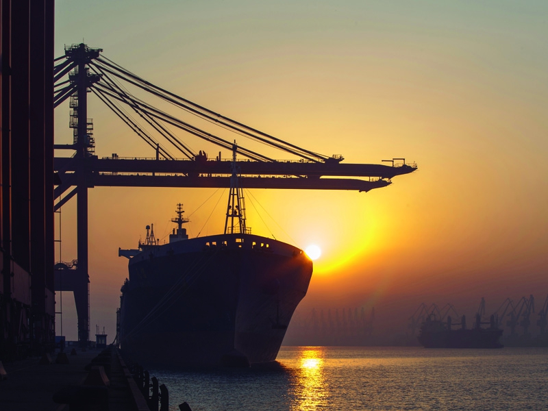 Brasil abre 37 novos mercados externos para produtos agropecuários nos oito primeiros meses do ano