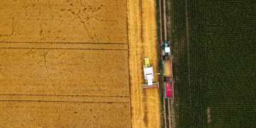 Tempo seco favorece maturação e colheita da 2ª safra de trigo na região central do País