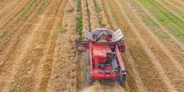 Cooperativas do agro