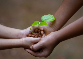 Agronegócio e natureza podem e devem ser aliados