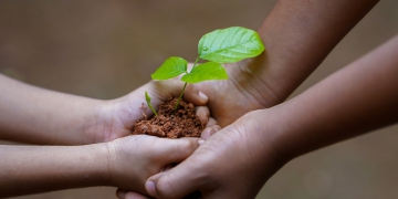 Agronegócio e natureza podem e devem ser aliados