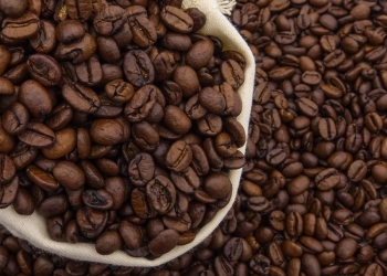 Cooperativa do Cerrado Mineiro bate recorde de exportação de café