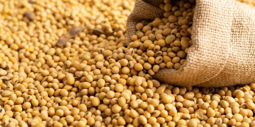 agroworld-soja