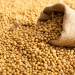 agroworld-soja