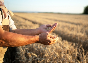 Parceria entre Agrotoken e SLC Máquinas impulsiona o agronegócio no Rio Grande do Sul
