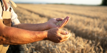 Parceria entre Agrotoken e SLC Máquinas impulsiona o agronegócio no Rio Grande do Sul