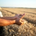 Parceria entre Agrotoken e SLC Máquinas impulsiona o agronegócio no Rio Grande do Sul