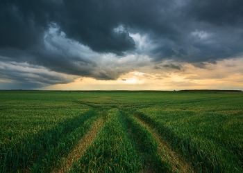 Seguro rural deve avançar para proteger o agronegócio