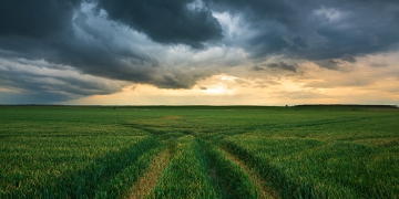 Seguro rural deve avançar para proteger o agronegócio