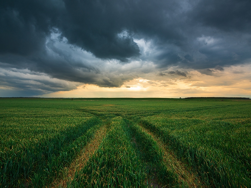 Seguro rural deve avançar para proteger o agronegócio