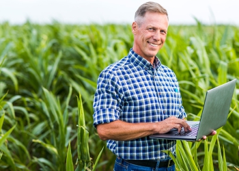 5 lições do universo digital para profissionais do agronegócio