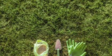 Cibra conquista 2° lugar na Premiação Agilidade Brasil 2024