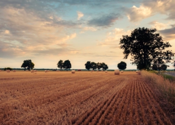 Como as mudanças climáticas afetam práticas agrícolas