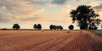 Como as mudanças climáticas afetam práticas agrícolas