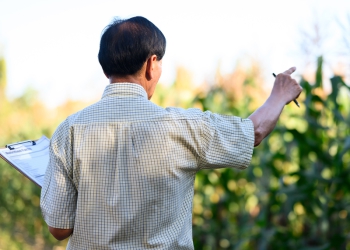 Pesquisa da ABAG mapeia prioridades de inovação e competividade no agronegócio