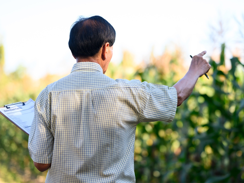 Pesquisa da ABAG mapeia prioridades de inovação e competividade no agronegócio
