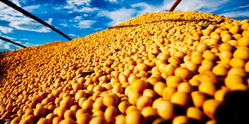 Mercado de soja é sacudido por incertezas econômicas