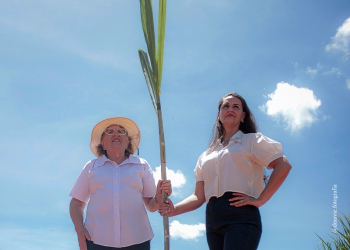 Academia de Sucessão no Agronegócio