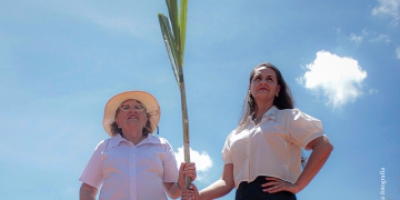 Academia de Sucessão no Agronegócio