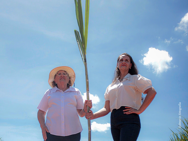 Academia de Sucessão no Agronegócio