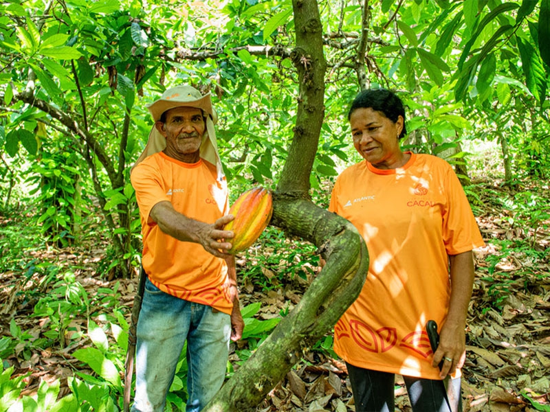 Appian Capital Brazil e Atlantic Nickel revitalizam agricultura familiar