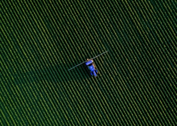 Como a inteligência de dados está transformando a agricultura
