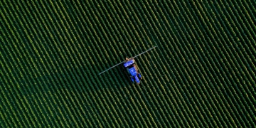 Como a inteligência de dados está transformando a agricultura
