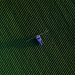 Como a inteligência de dados está transformando a agricultura