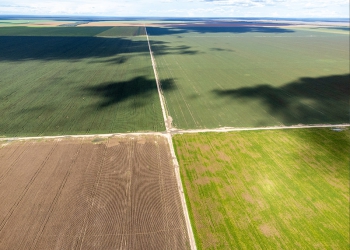 BrasilAgro vende parte da Fazenda Chaparral, na Bahia, por R$ 364,5 milhões