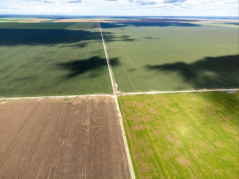 BrasilAgro vende parte da Fazenda Chaparral, na Bahia, por R$ 364,5 milhões