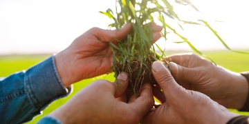 Agrotalk Show aborda geopolítica e agro na macroeconomia brasileira