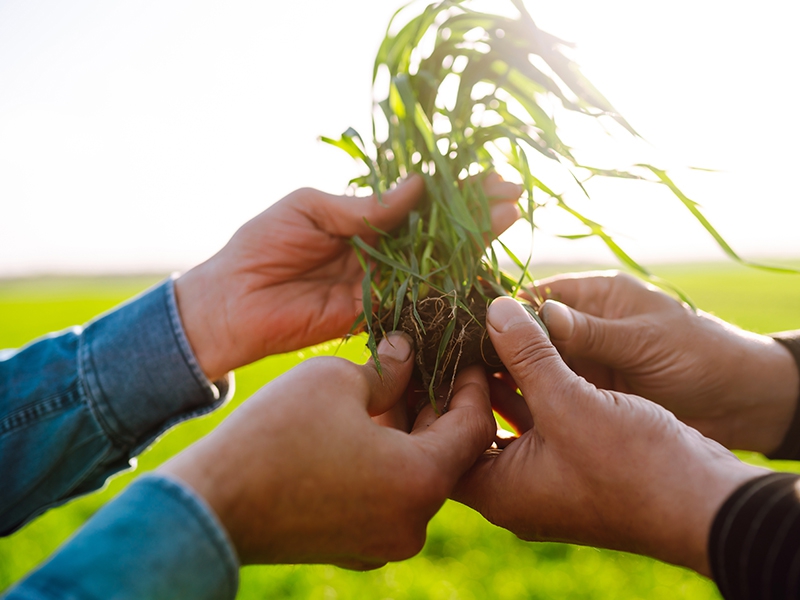 Agrotalk Show aborda geopolítica e agro na macroeconomia brasileira