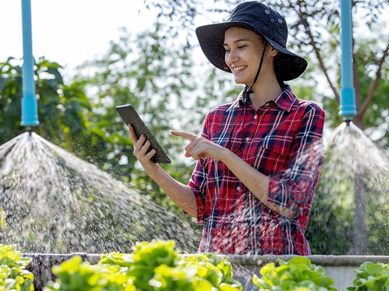 Saiba quais são os 4 pilares da Agricultura 4.0