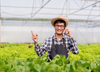 Rede Soja Sustentável nasce para aproximar o Rural e o Urbano do Brasil