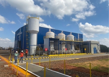 BP Bunge projeta ganhos de produtividade e redução de custos