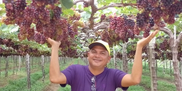 Startup capacita produtor familiar vulnerável