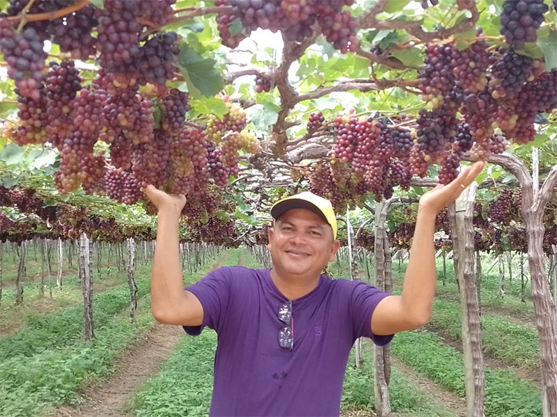 Startup capacita produtor familiar vulnerável