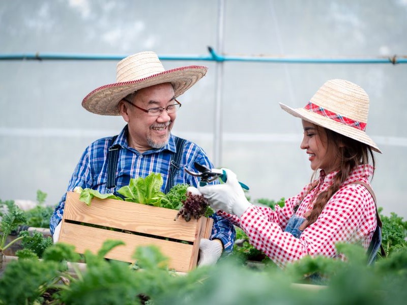Com 18% do total nacional, São Paulo lidera exportações agropecuárias até setembro