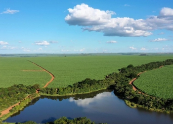 São Martinho é 1ª produtora de etanol de cana do mundo a obter certificação ISCC CORSIA Low LUC Risk