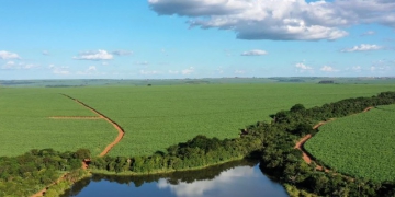 São Martinho é 1ª produtora de etanol de cana do mundo a obter certificação ISCC CORSIA Low LUC Risk