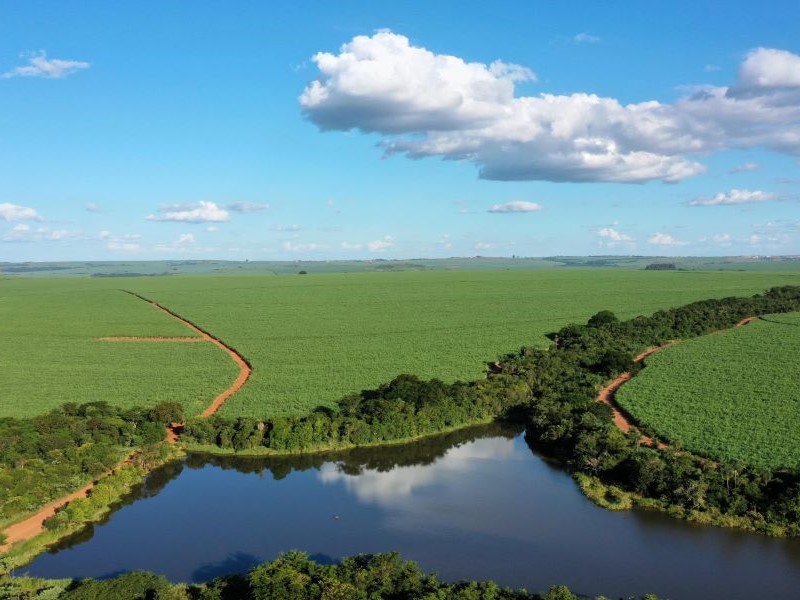 São Martinho é 1ª produtora de etanol de cana do mundo a obter certificação ISCC CORSIA Low LUC Risk
