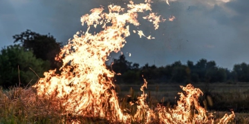 Comissão Técnica da FAESP estima prejuízo de R$ 2 bilhões com incêndios